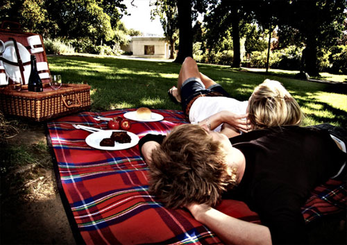 perfect-picnics.jpg